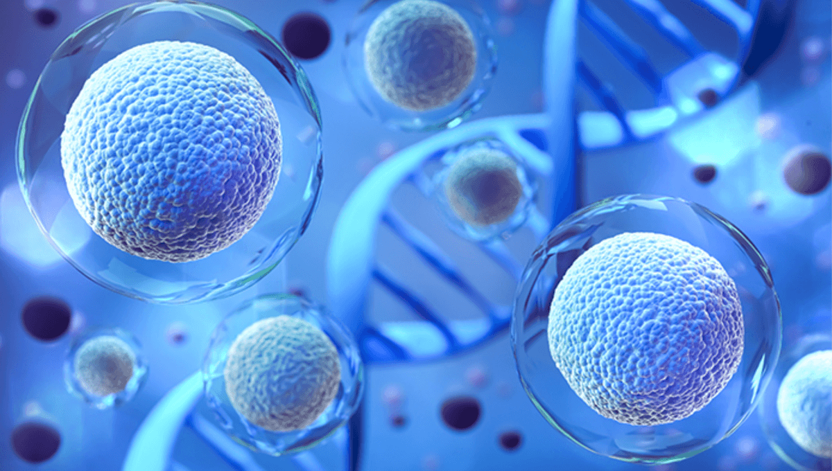 전신 항노화 뱅킹